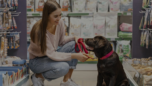 Servicio de Mascotas